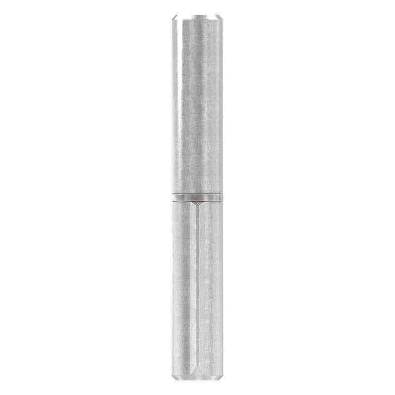 Anschweißband, L: 100mm, mit festem Stift, V2A