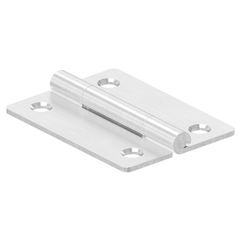 Stainless steel hinge 50x38mm with fixed pin