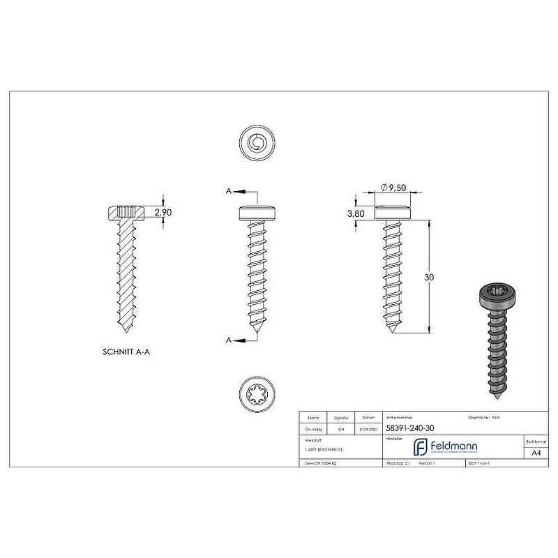 SPAX wood screws 5x30mm, AISI304, with Torx drive T20