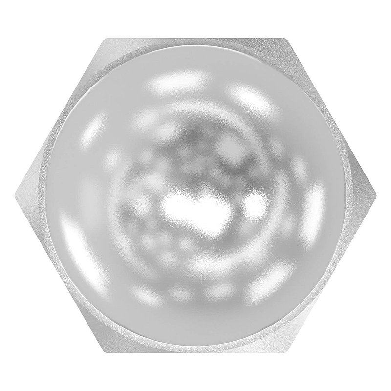 Hexagon cap nut M16, DIN 1587, AISI304