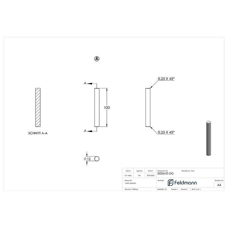 pin Ø 12mm, length 100mm