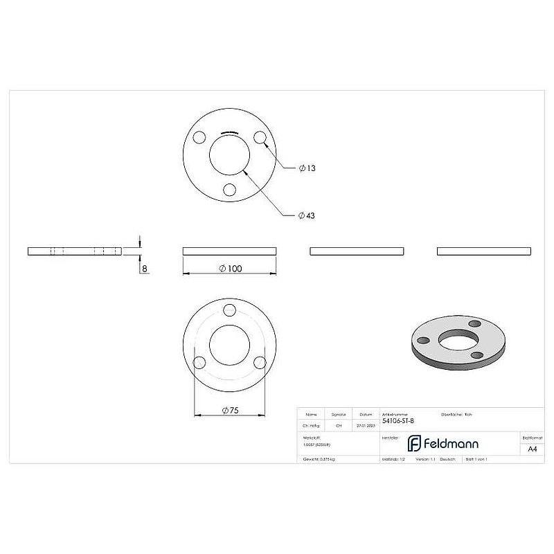 Ankerplatte 100x8mm