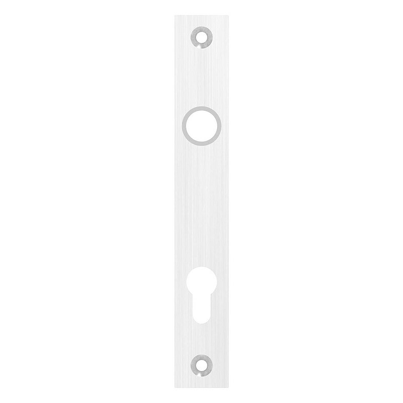 Langschild, Abmessung: 32x220x6mm, V2A