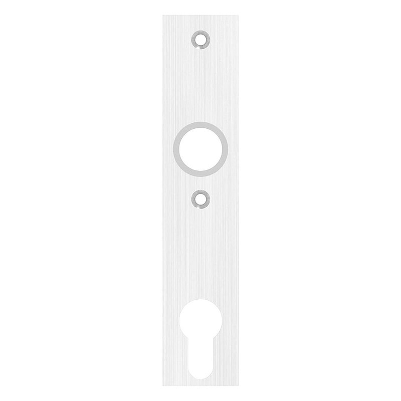 Long backplate, dimensions: 32x156x6mm, AISI304