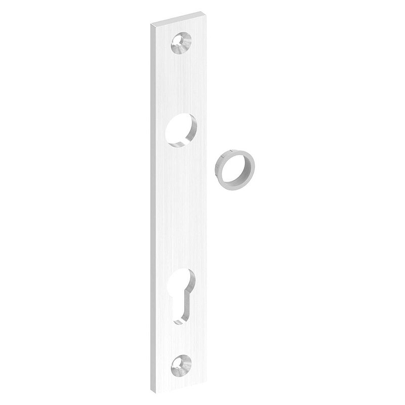 Langschild, Abmessung: 32x220x6mm, V2A