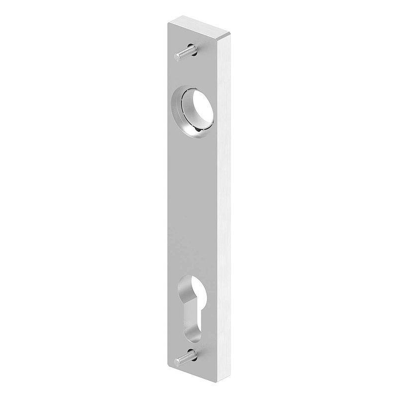 Long backplate for mortise locks