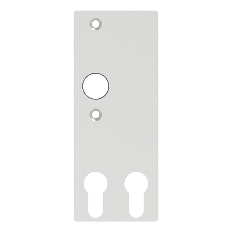 Cylinder long plate for two profile cylinders