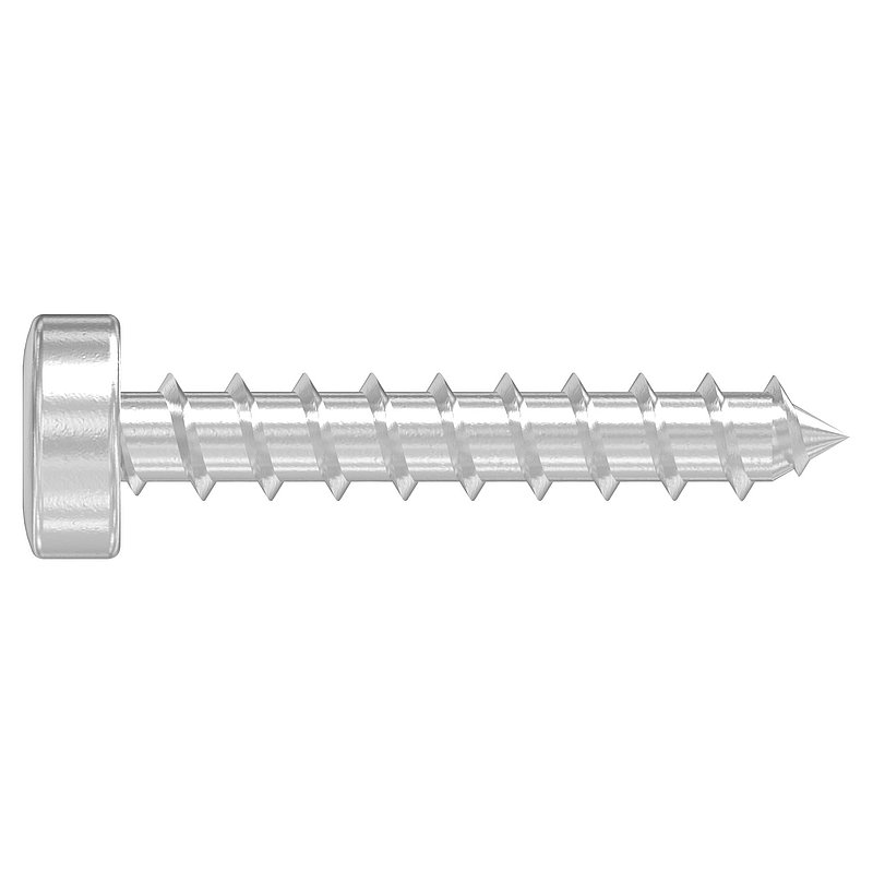 SPAX wood screws 5x30mm, AISI304, with Torx drive T20
