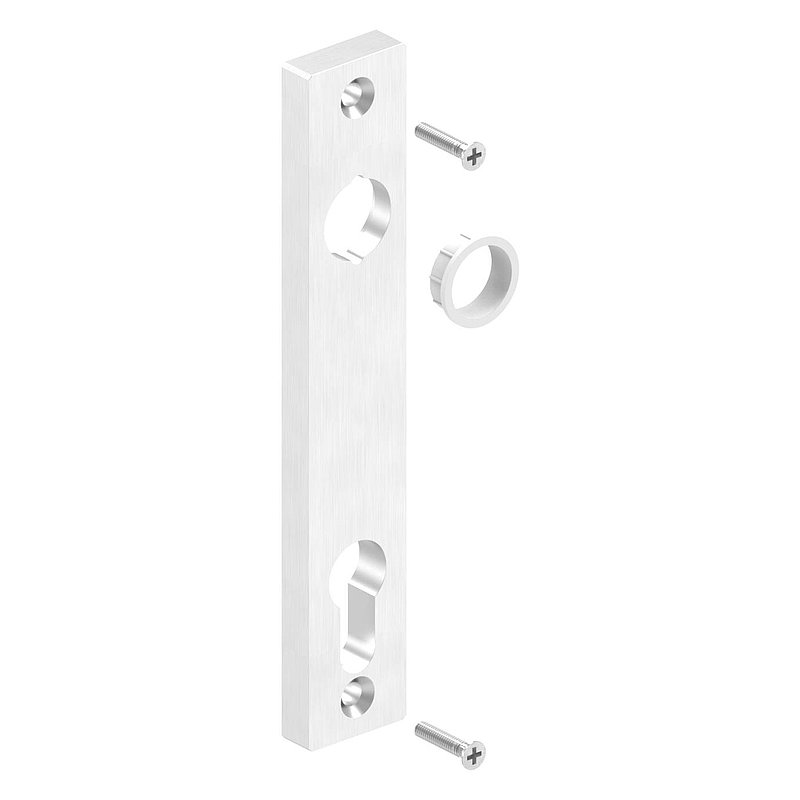 Long backplate for mortise locks