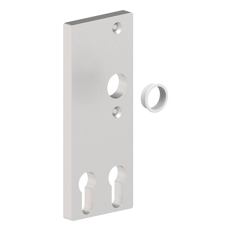 Cylinder long plate for two profile cylinders