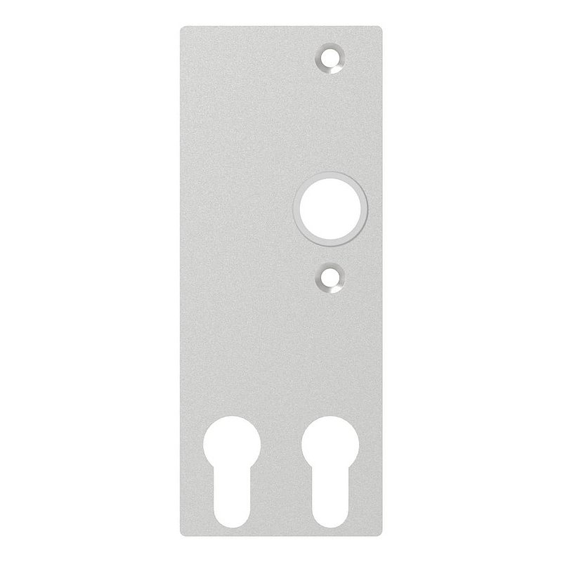 Cylinder long plate for two profile cylinders