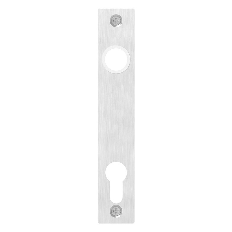Long backplate for mortise locks