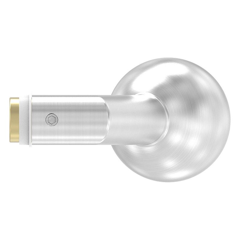 Door knob, single, Ø 50mm, cranked, AISI304