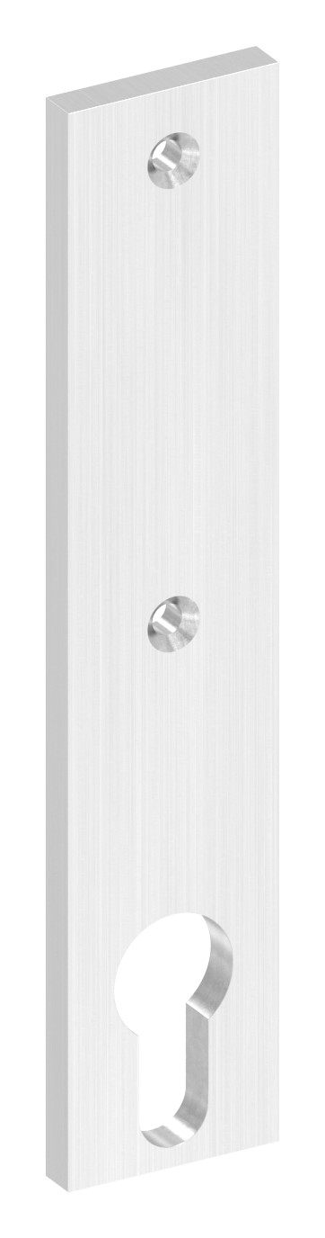 Langschild, Abmessung: 32x156x6mm, V2A