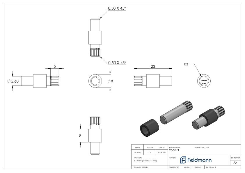 Sichtschutz Sicherungsstift Mod. 26, V4A