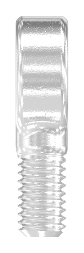 Augenenden mit Gew. M6, V4A