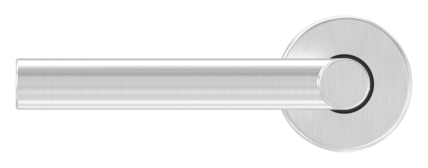 Türdrücker-Paar, drehbar, V2A