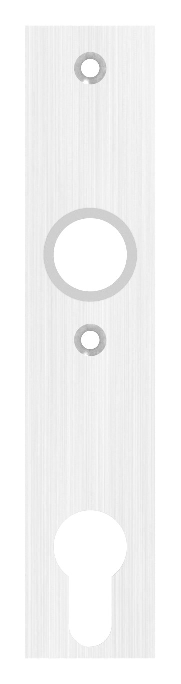 Langschild, Abmessung: 32x156x6mm, V2A