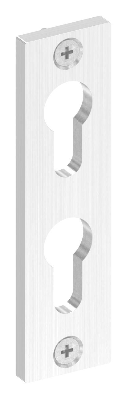 Zylinderrosette für zwei Profilzylinder, 32x120x6mm, V2A