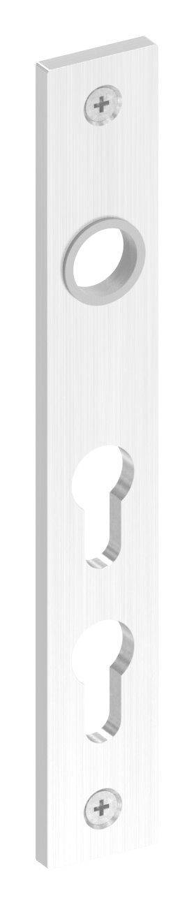 Langschild für zwei Profilzylinder, V2A