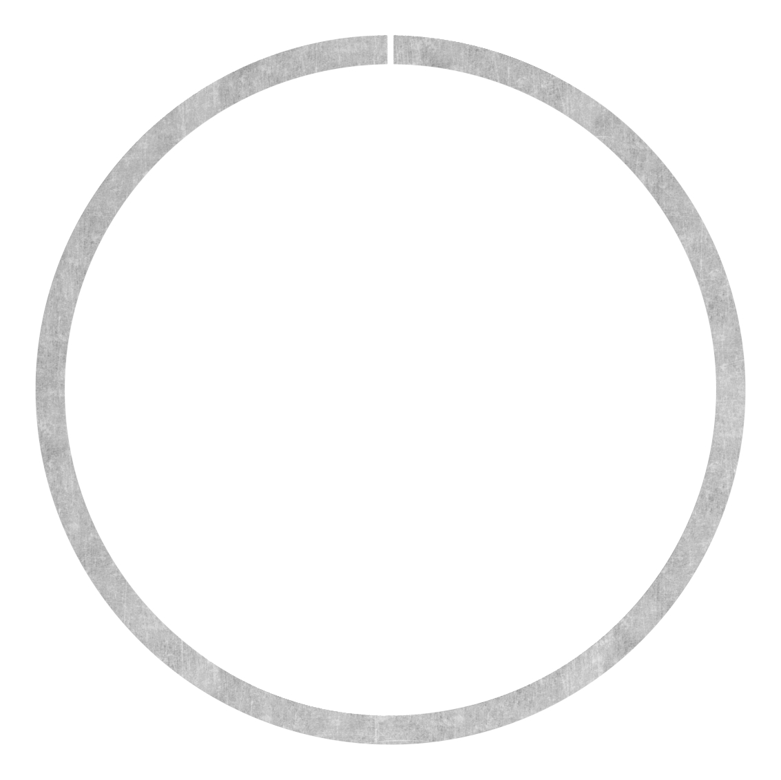 Ring 12x5mm, AußenØ 120mm