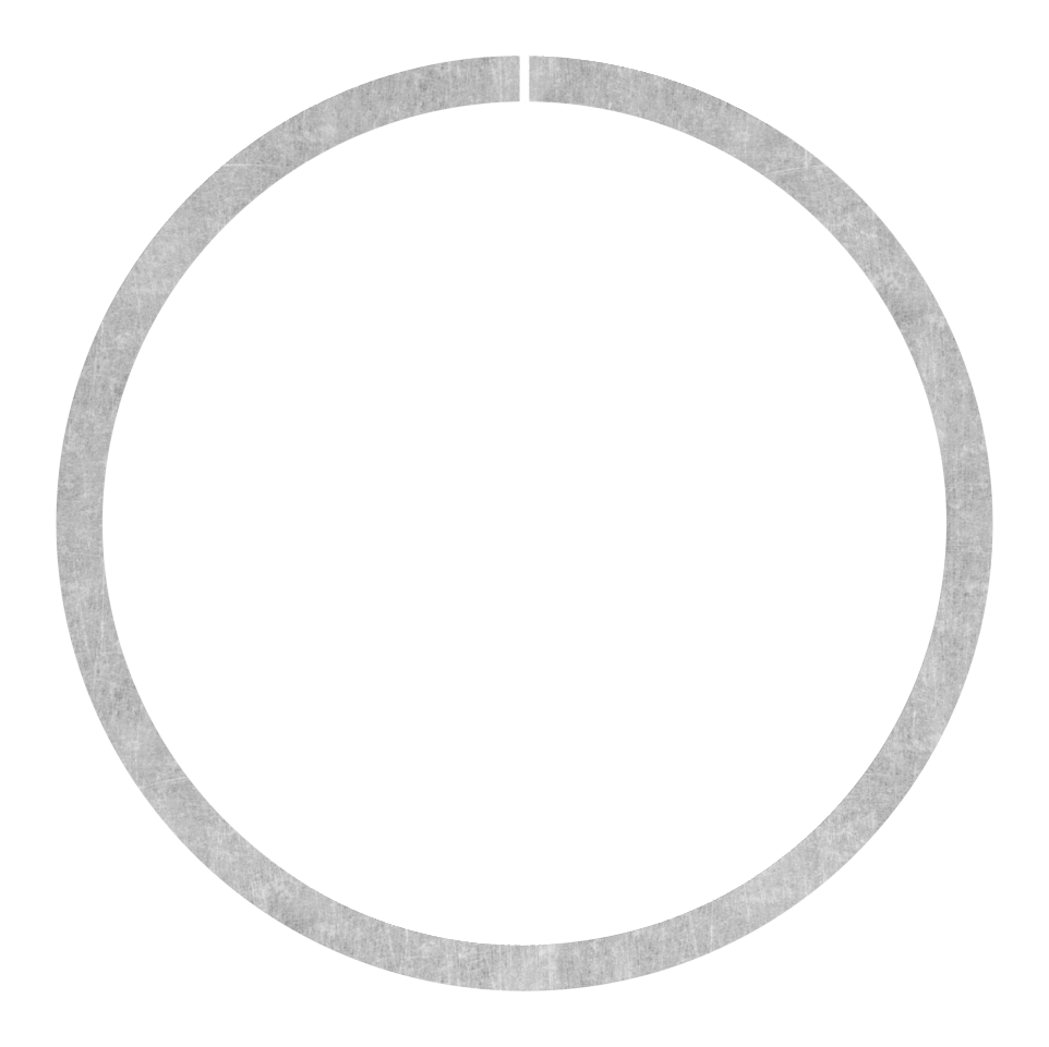 Ring 12x5mm, AußenØ 100mm