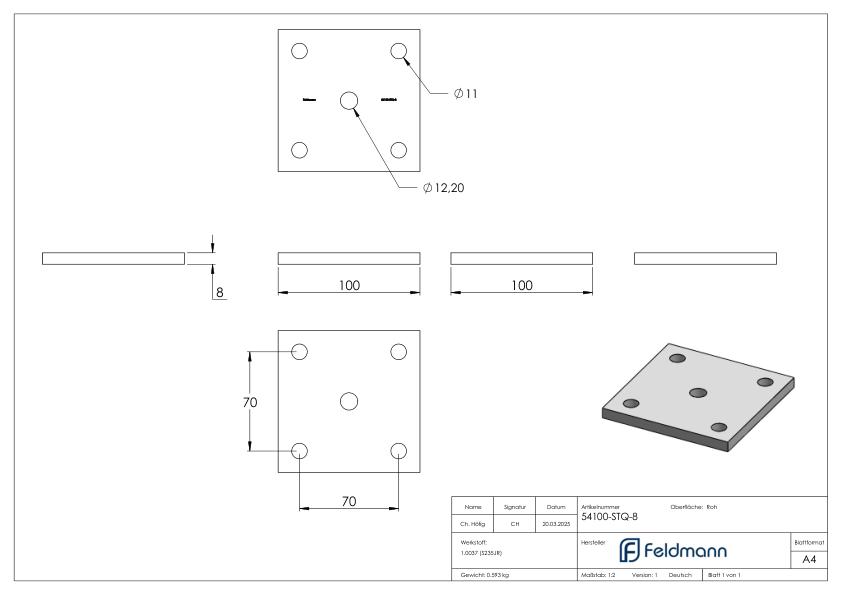 Ankerplatte 100x100x8mm