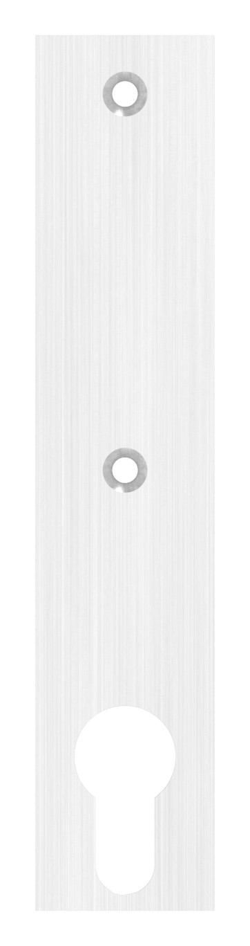 Langschild, Abmessung: 32x156x6mm, V2A