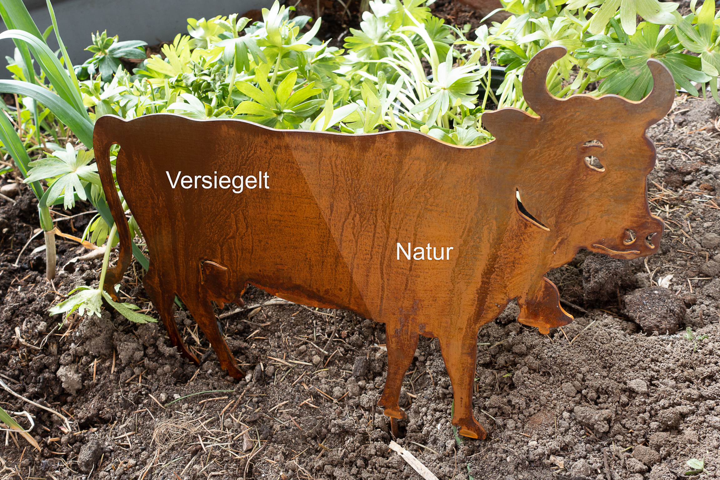 Schnellroster, 5L Kanister