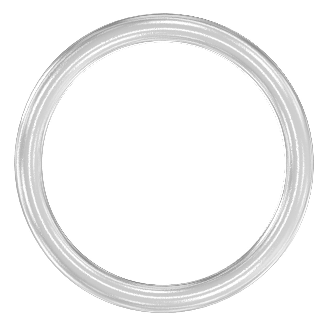 Ring, AußenØ: 124mm, V2A